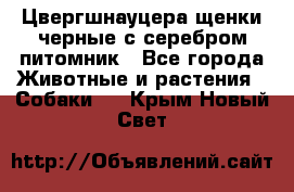 Цвергшнауцера щенки черные с серебром питомник - Все города Животные и растения » Собаки   . Крым,Новый Свет